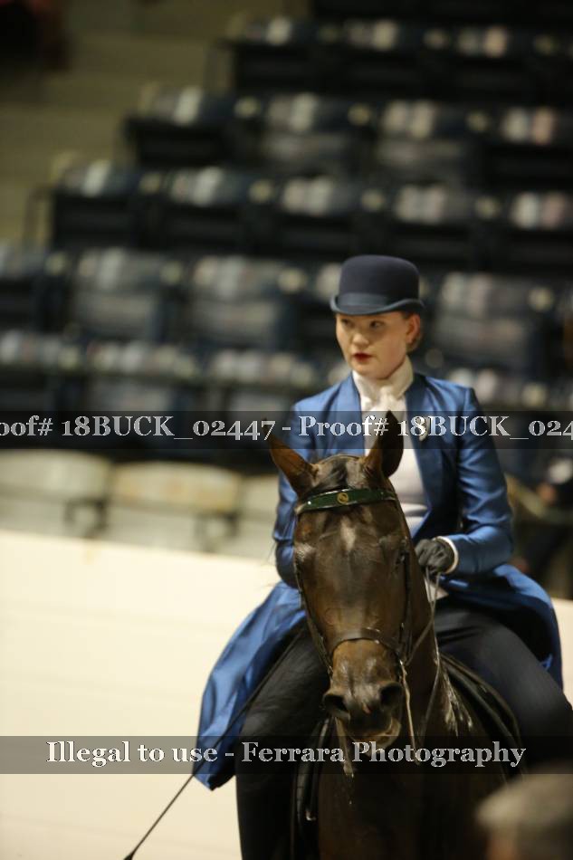 Proof 18BUCK_02447