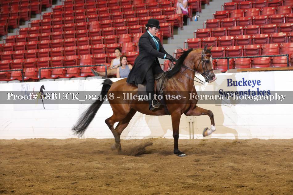 Proof 18BUCK_02448