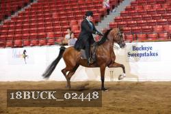 18BUCK_02448 proof