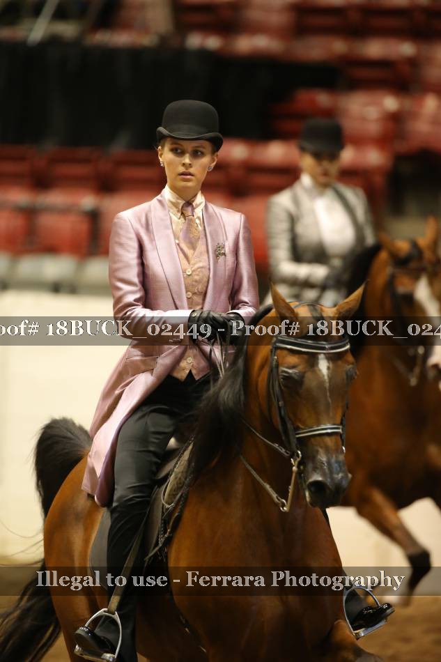 Proof 18BUCK_02449