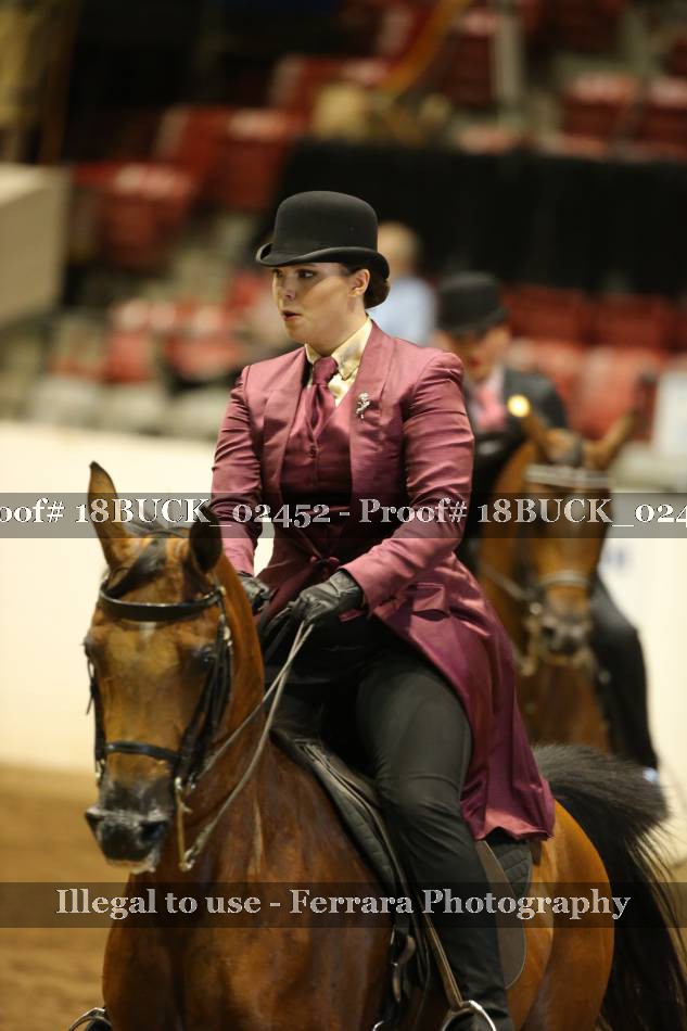 Proof 18BUCK_02452
