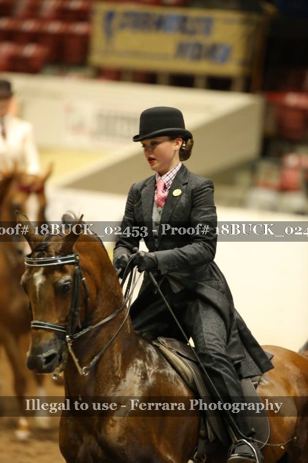 Proof 18BUCK_02453