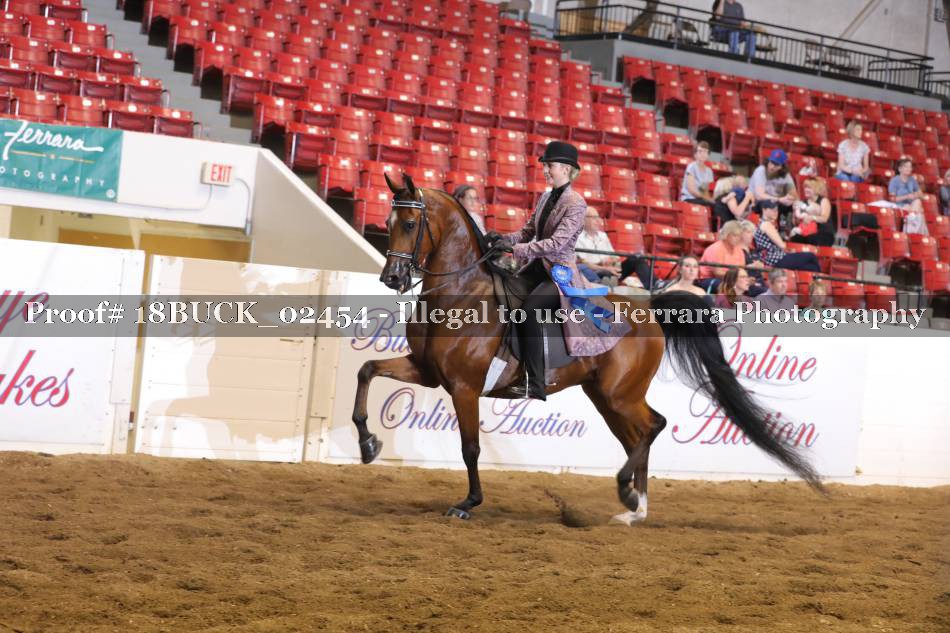 Proof 18BUCK_02454
