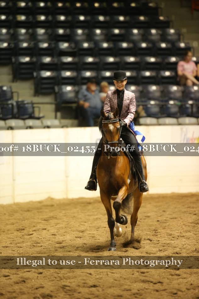Proof 18BUCK_02455