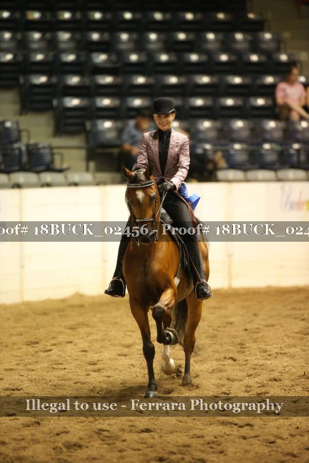 Proof 18BUCK_02456