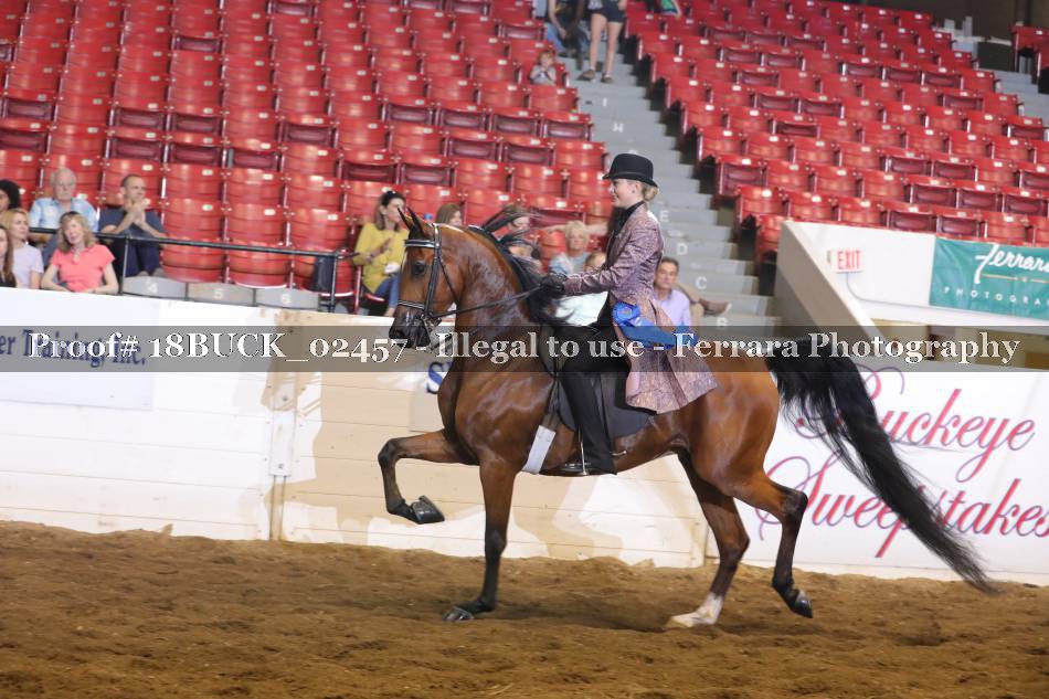 Proof 18BUCK_02457
