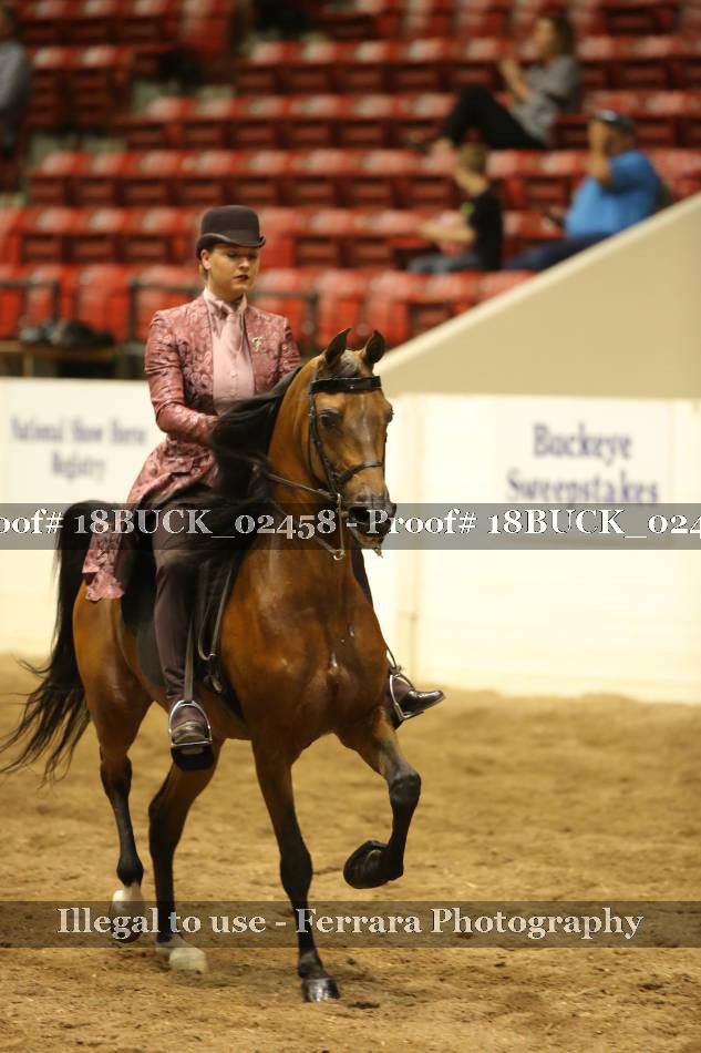 Proof 18BUCK_02458