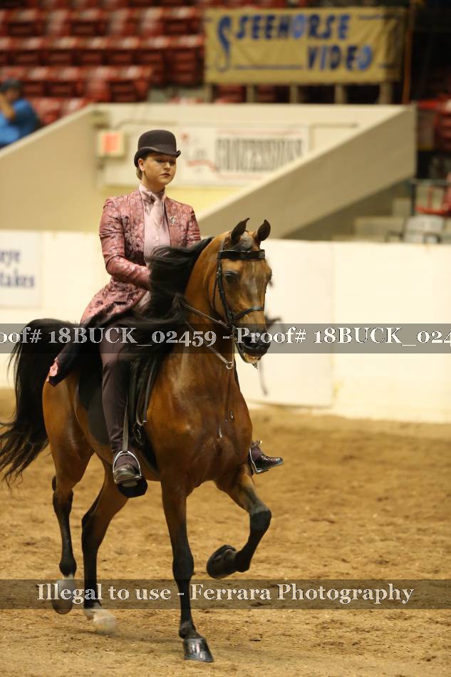 Proof 18BUCK_02459