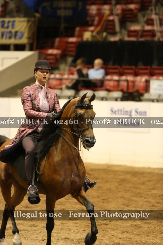 Proof 18BUCK_02460
