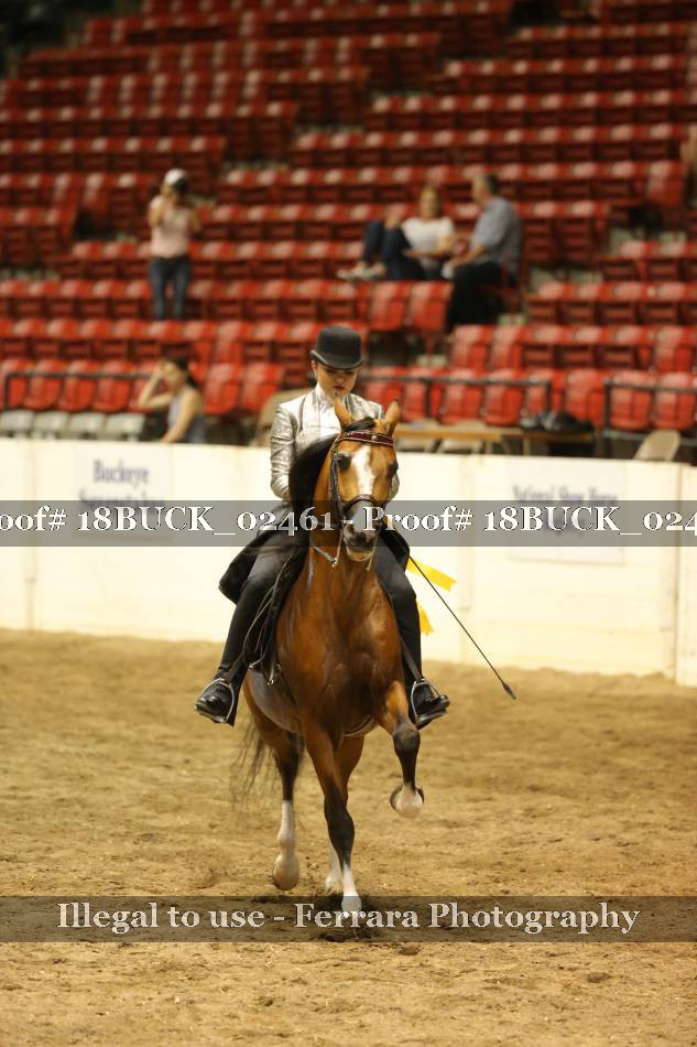 Proof 18BUCK_02461