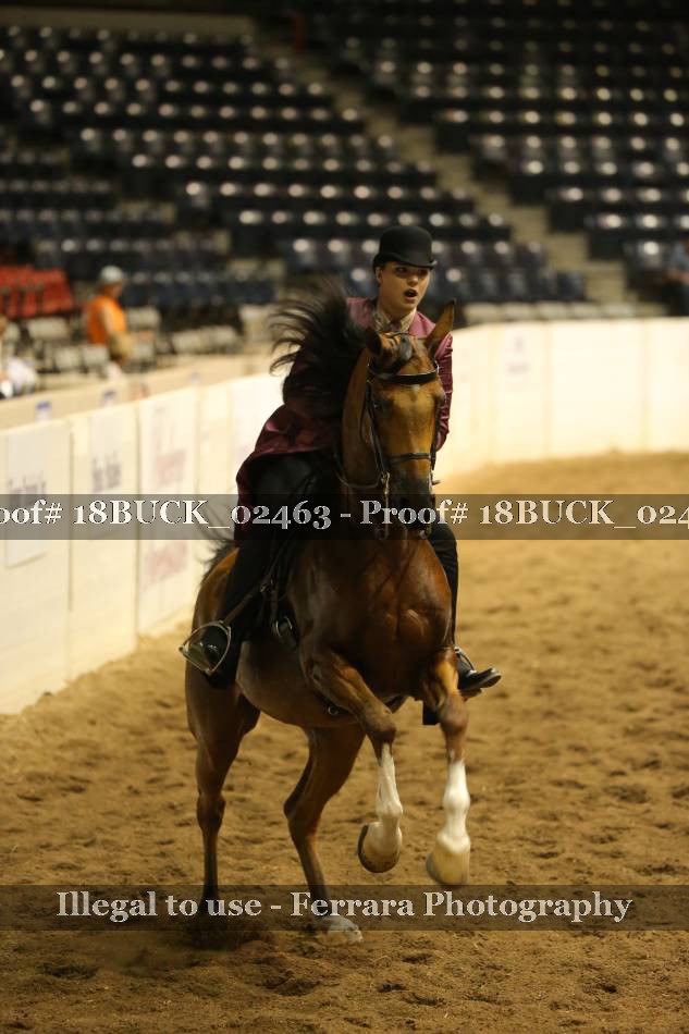 Proof 18BUCK_02463