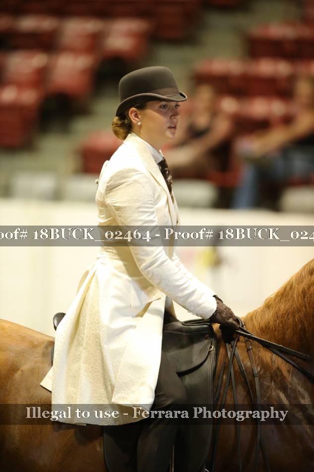 Proof 18BUCK_02464
