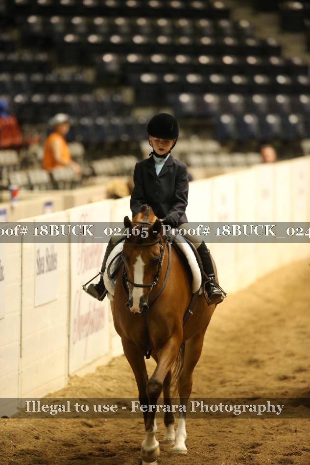 Proof 18BUCK_02465