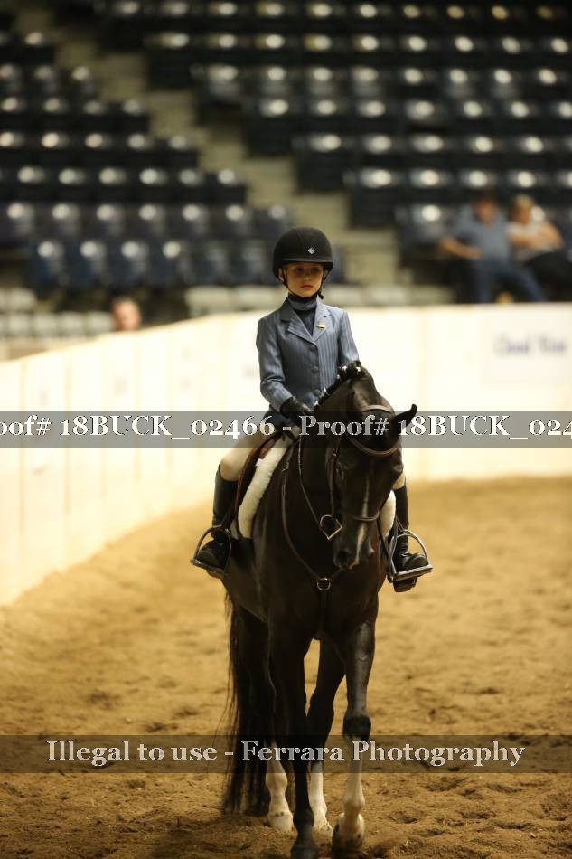 Proof 18BUCK_02466