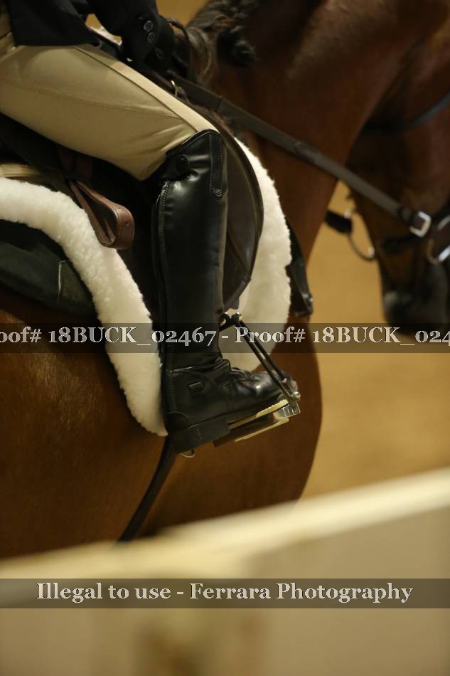 Proof 18BUCK_02467