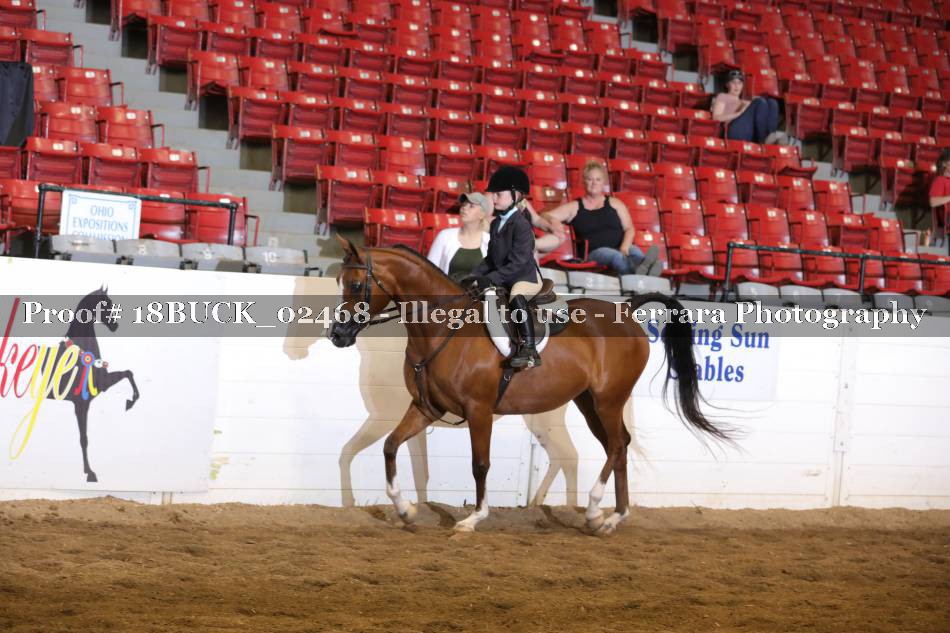 Proof 18BUCK_02468