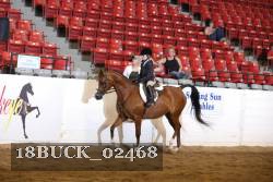 18BUCK_02468 proof
