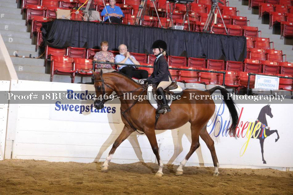 Proof 18BUCK_02469
