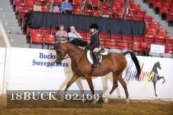 18BUCK_02469 proof