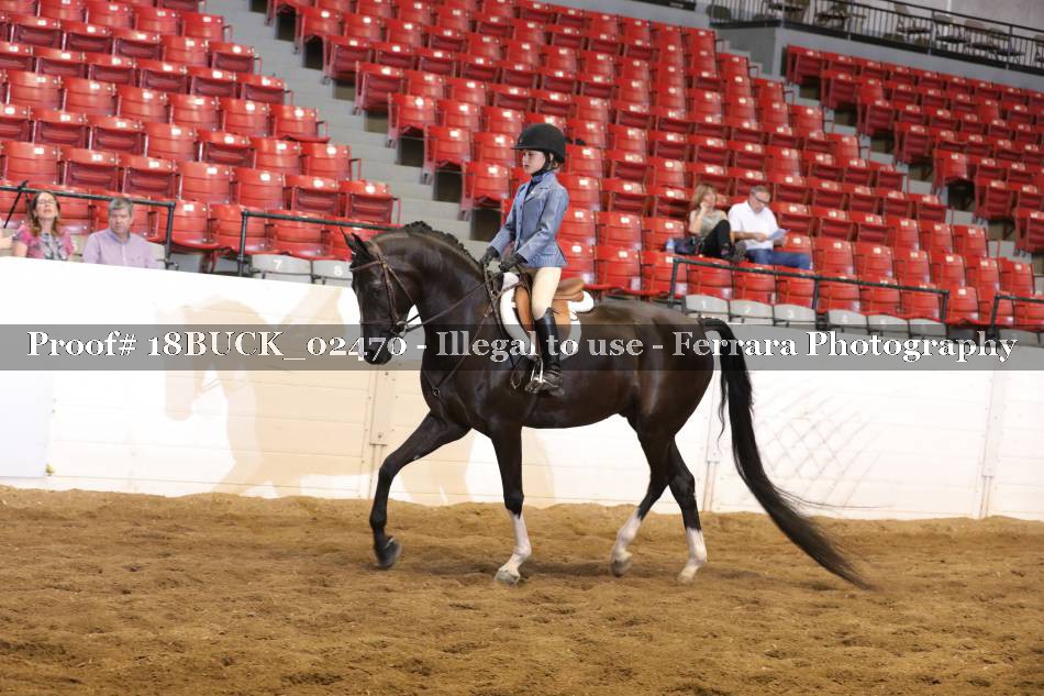 Proof 18BUCK_02470