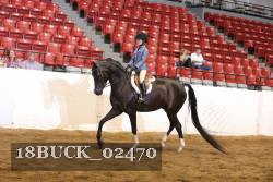 18BUCK_02470 proof