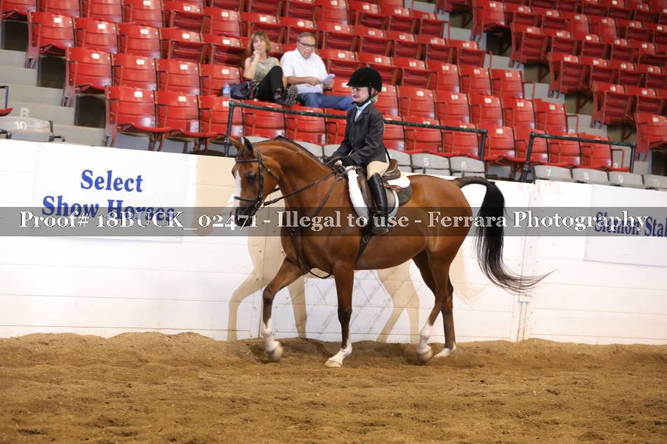Proof 18BUCK_02471