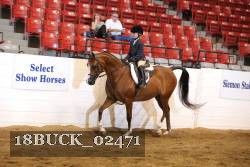 18BUCK_02471 proof