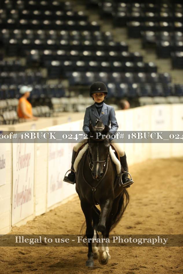 Proof 18BUCK_02472