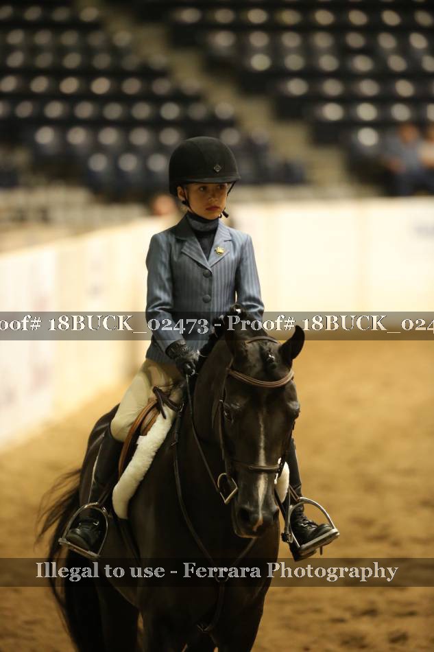 Proof 18BUCK_02473