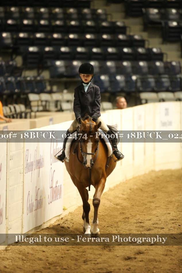 Proof 18BUCK_02474