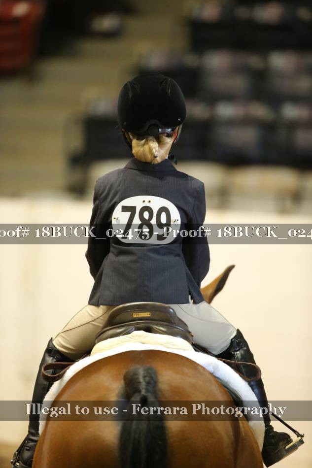 Proof 18BUCK_02475