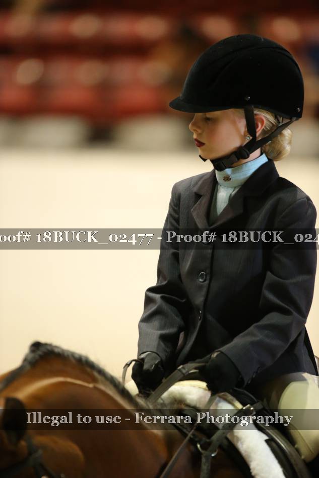 Proof 18BUCK_02477