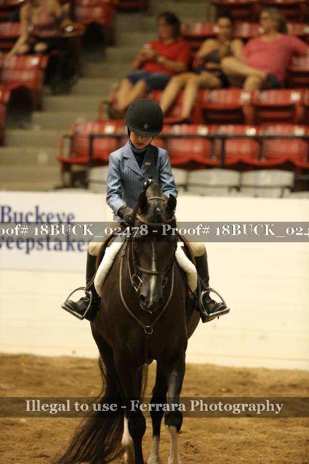 Proof 18BUCK_02478