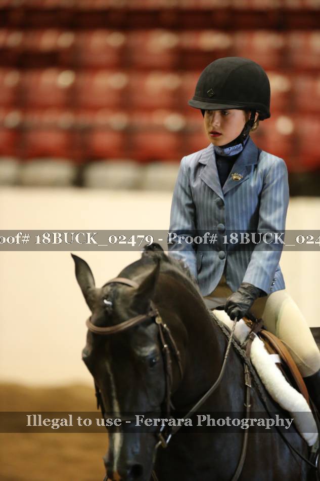 Proof 18BUCK_02479