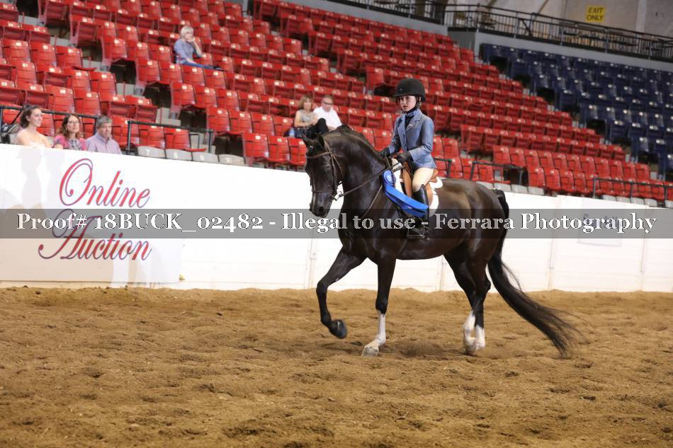 Proof 18BUCK_02482