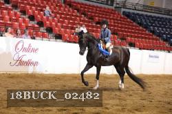 18BUCK_02482 proof