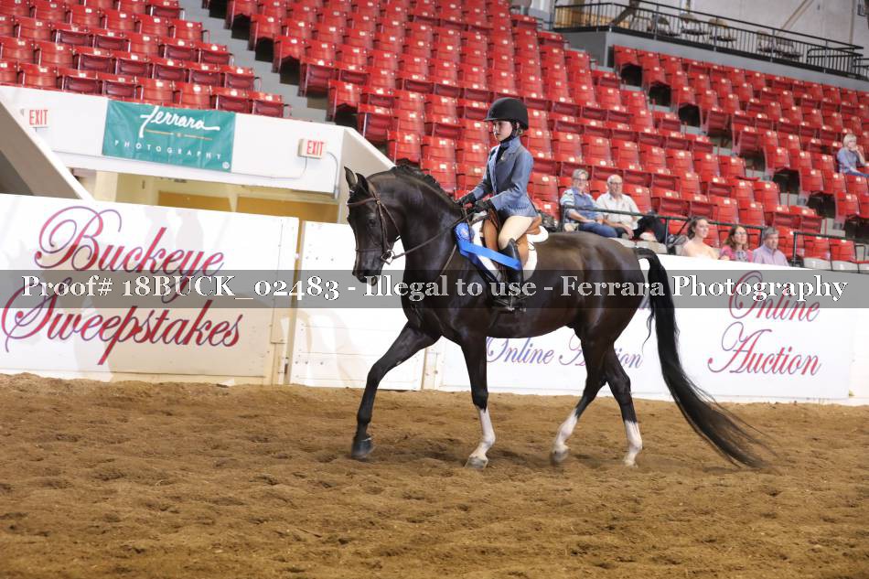 Proof 18BUCK_02483