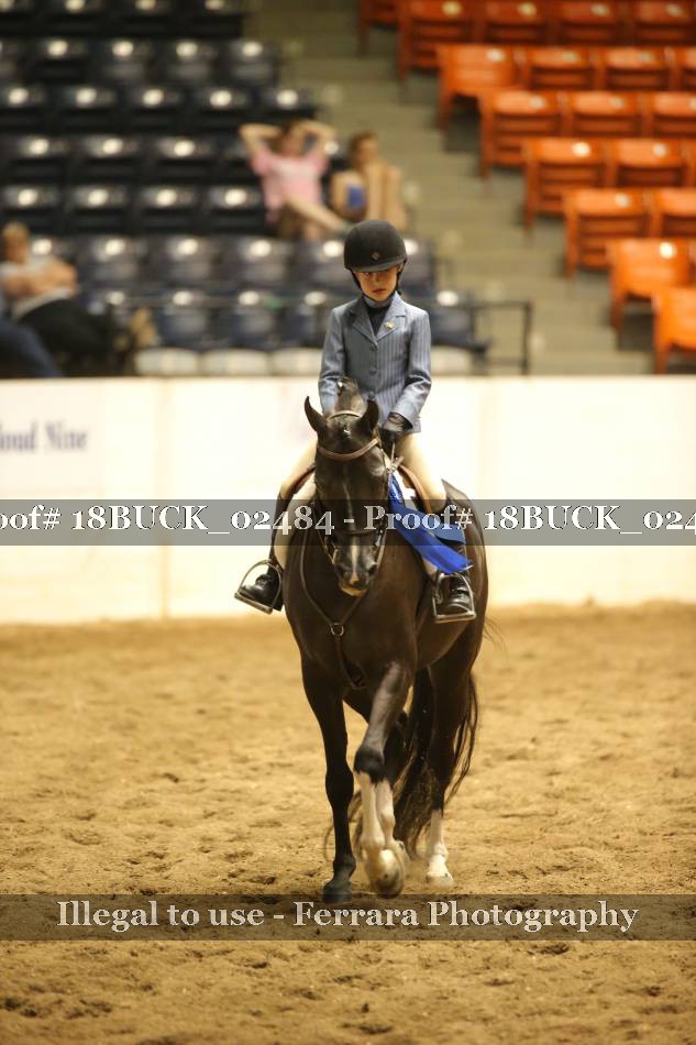 Proof 18BUCK_02484