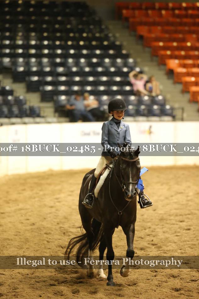 Proof 18BUCK_02485