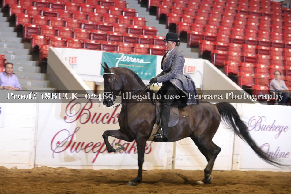 Proof 18BUCK_02489
