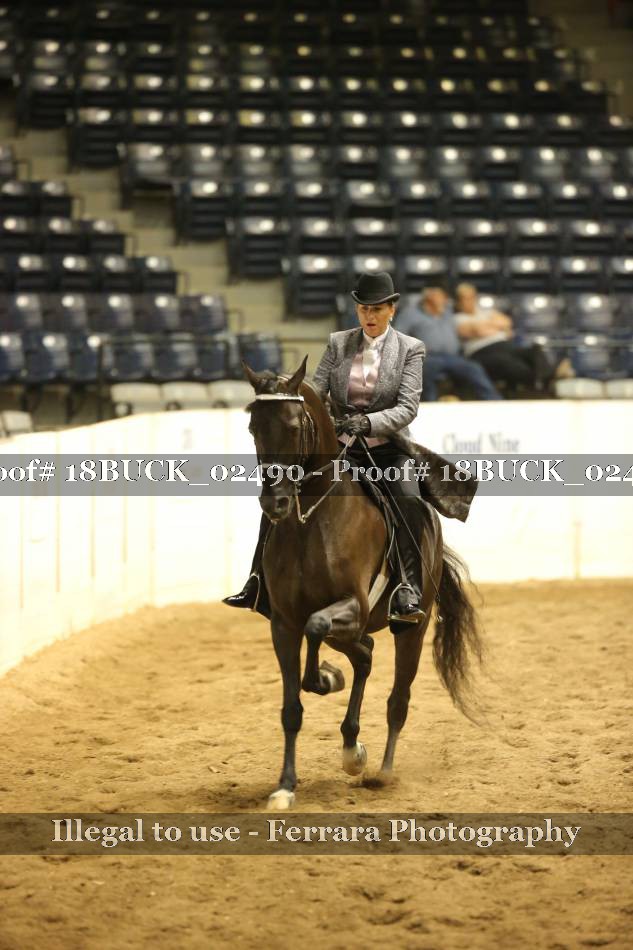 Proof 18BUCK_02490