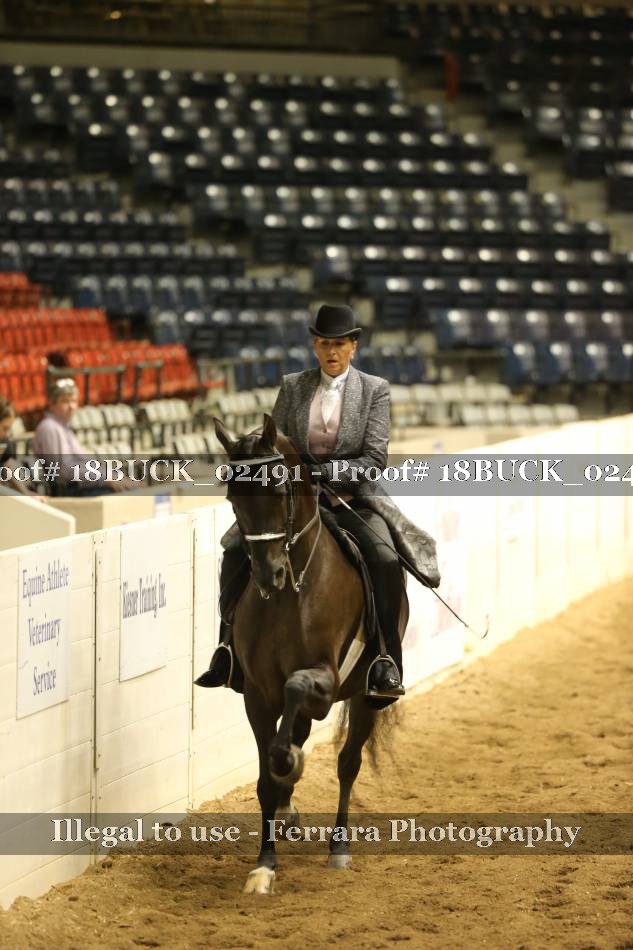 Proof 18BUCK_02491