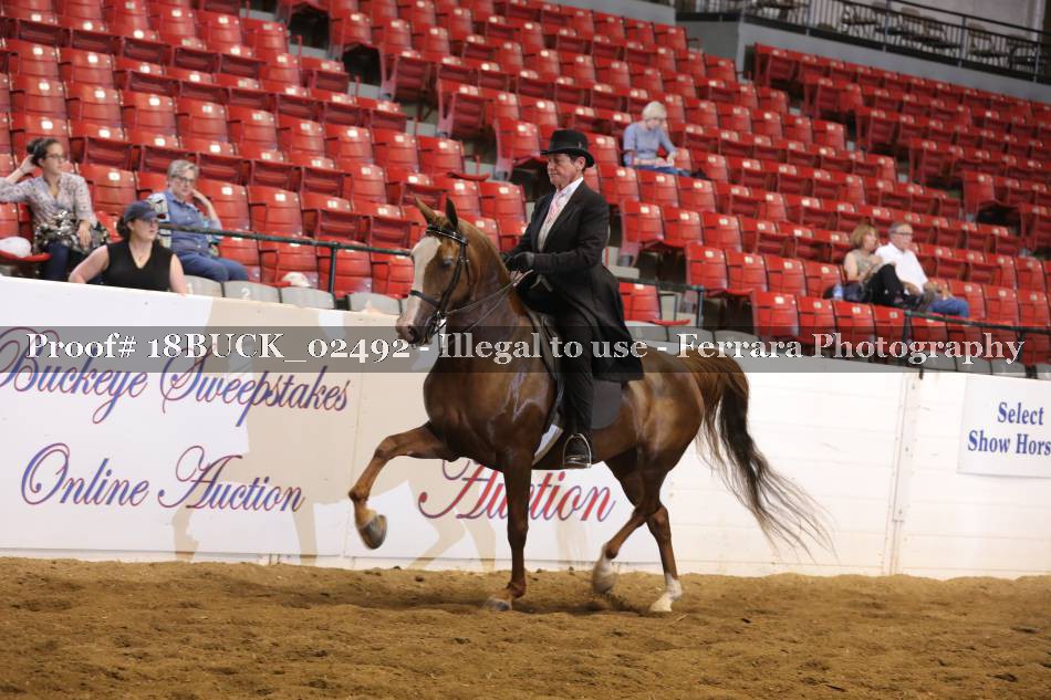 Proof 18BUCK_02492
