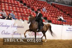 18BUCK_02492 proof