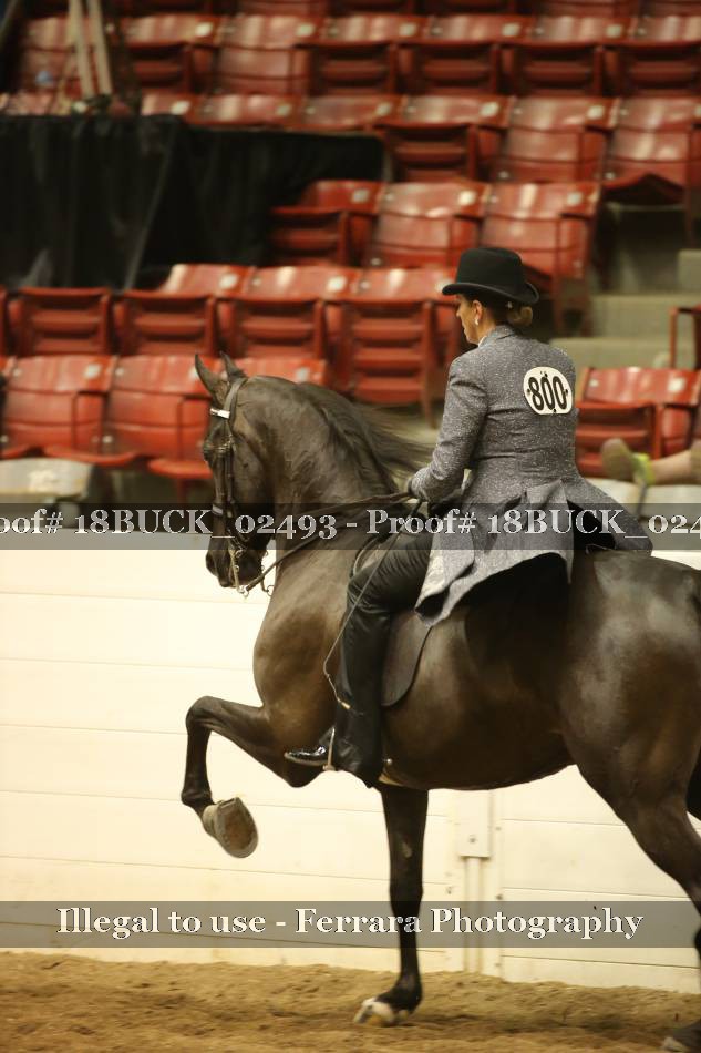 Proof 18BUCK_02493