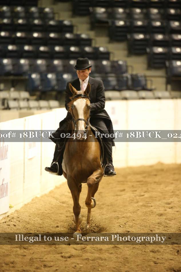 Proof 18BUCK_02494