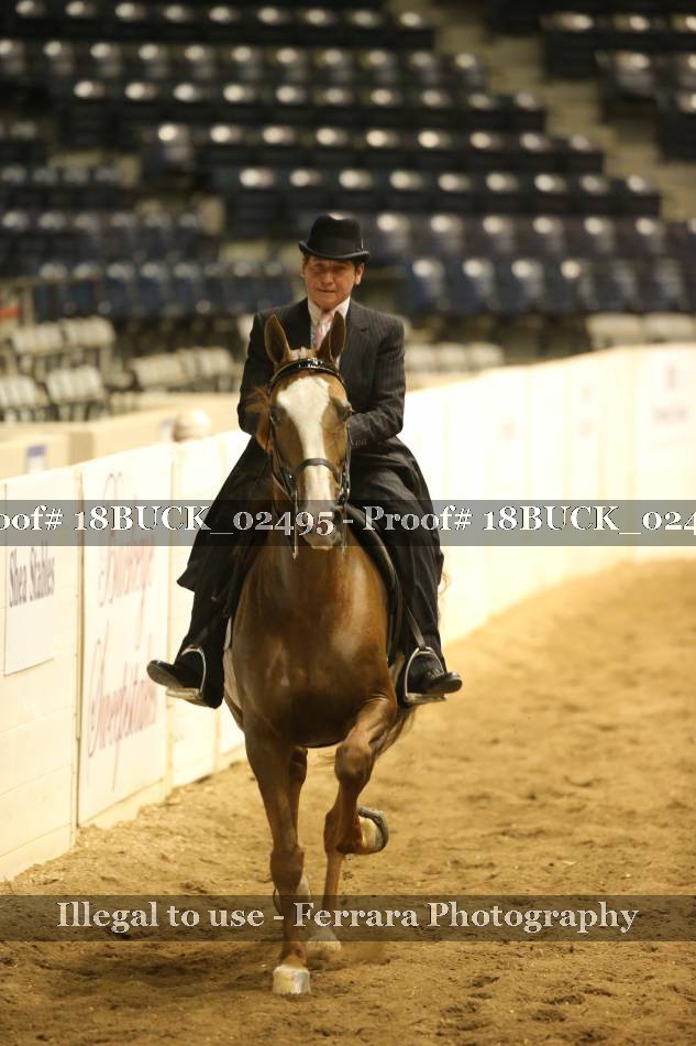 Proof 18BUCK_02495
