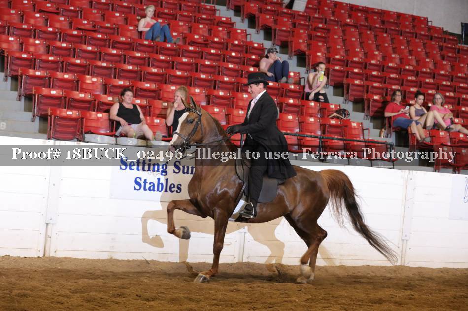 Proof 18BUCK_02496