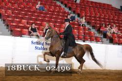18BUCK_02496 proof