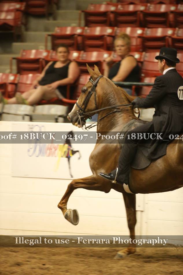 Proof 18BUCK_02497